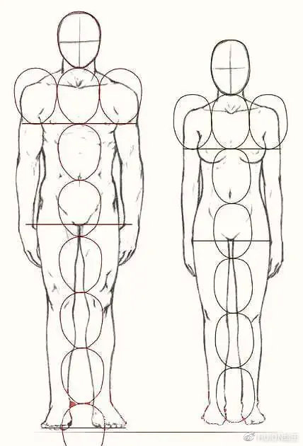 人体简单结构图片(干货 赤虎壹号