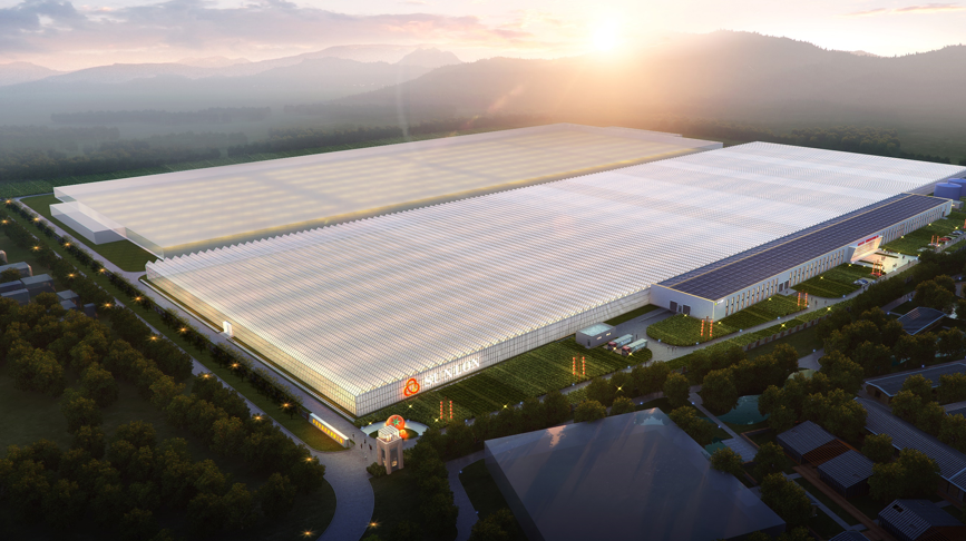 乡村振兴｜乡村规划要做到“四美融合”