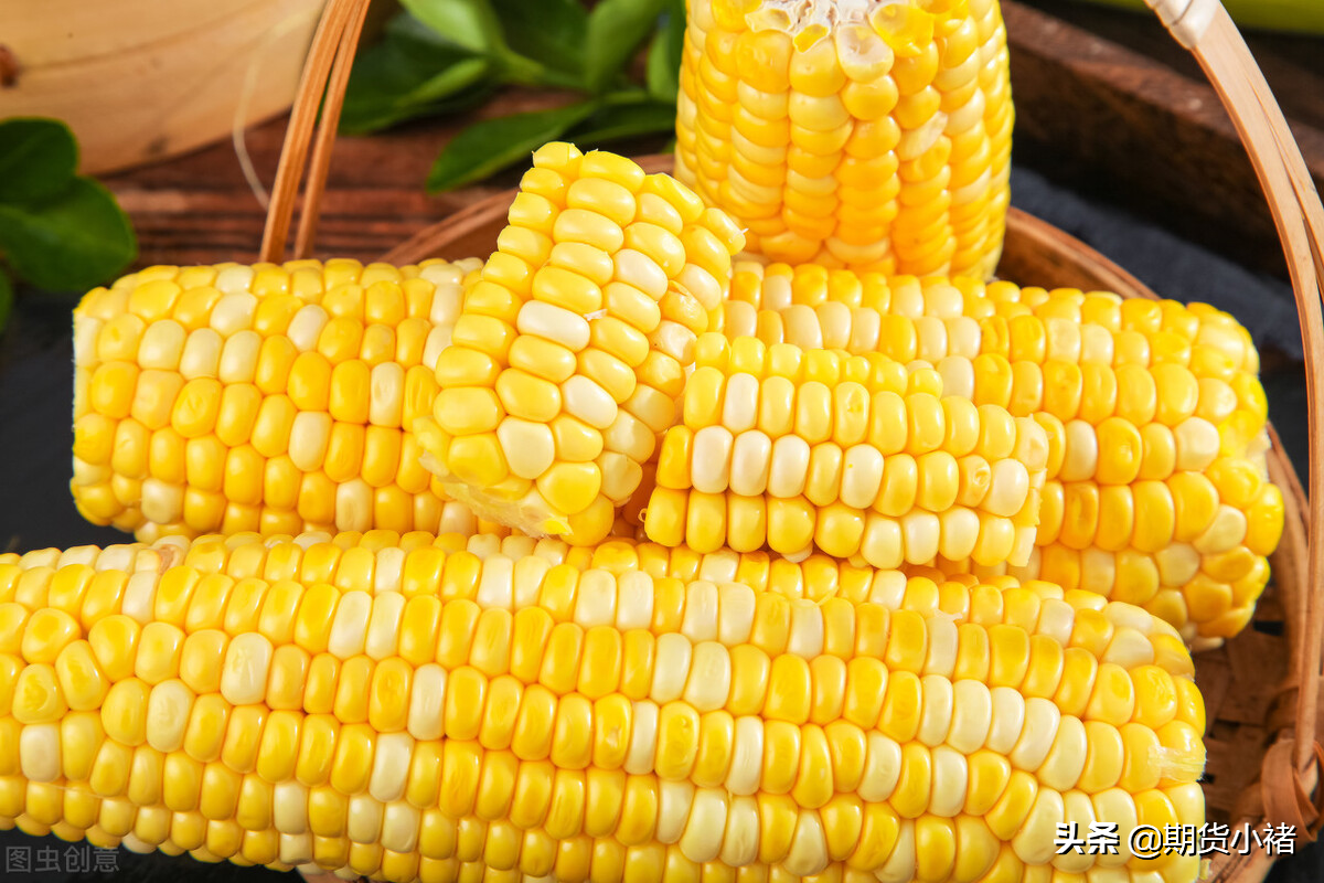 「玉米万吨」玉米期货最新分析（玉米期货交易一手多少钱）