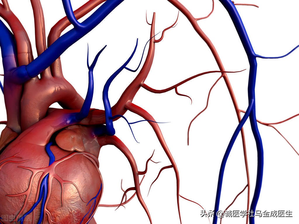 心主血脉,就是说血通过脉管通达全身,要靠心脏的功能,心脏强劲,心血