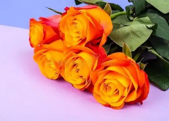 深深爱着你，心里眼里都是你；有你陪的人生，时光静好，岁月如歌