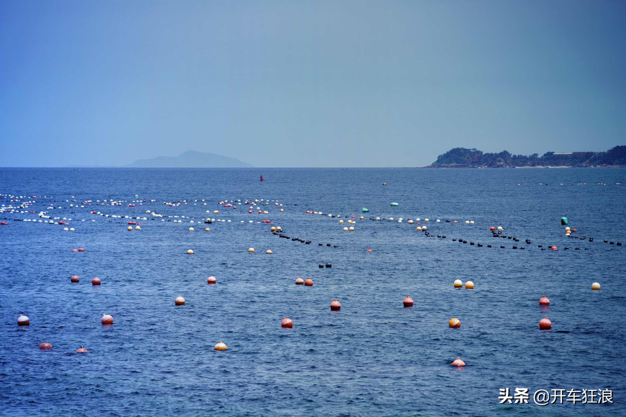 獐子岛海参怎么样（獐子岛海参闻名全国景色也秀丽宜人）