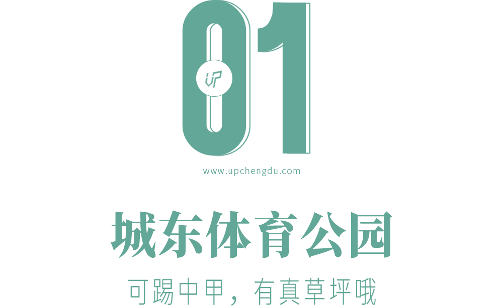 120亩有几个足球场大(“体育”公园大PK：成华有点偏，锦江还在修，双流最厚道)