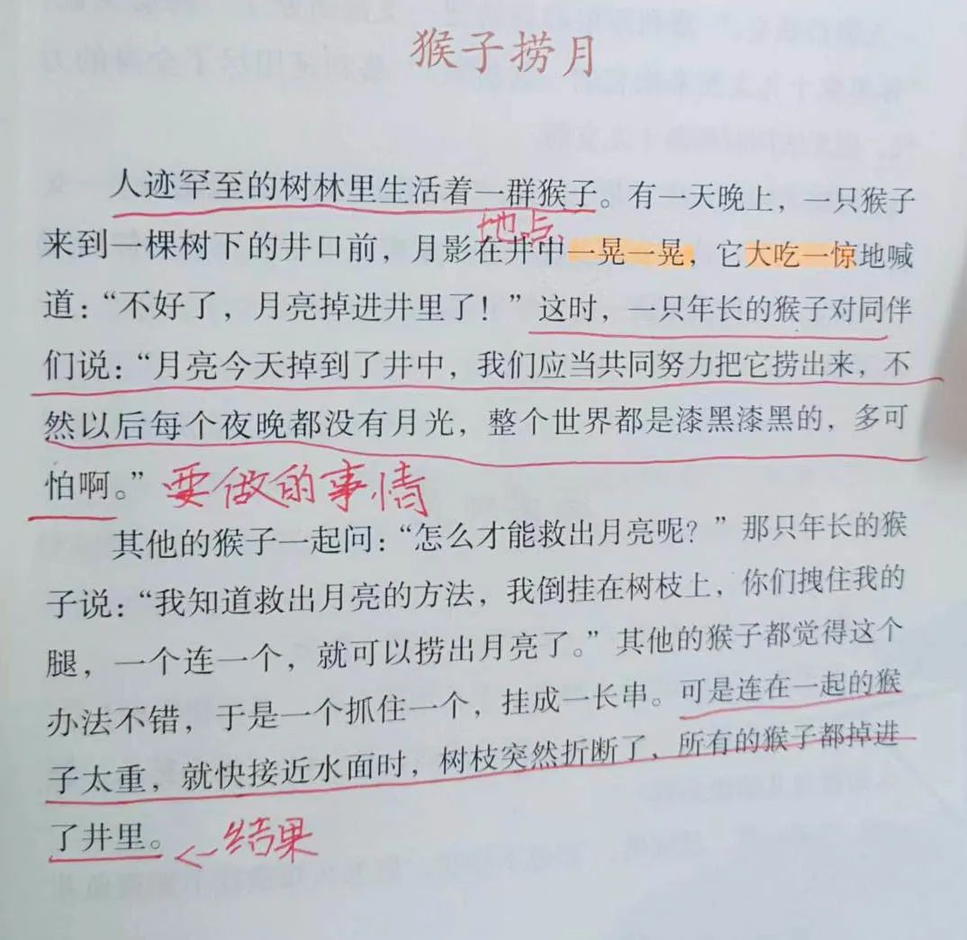 双流区双华小学丨腹有诗书气自华，最是书香能致远
