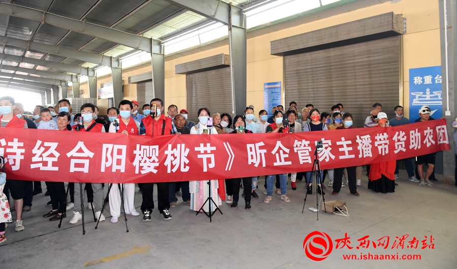 櫻桃千萬家 唯品方寨紅 合陽第五屆“方寨紅”櫻桃推介會舉辦（高清組圖）