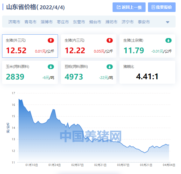 山东省生猪价格涨跌表｜2022年4月4日，枣庄最高，淄博最便宜