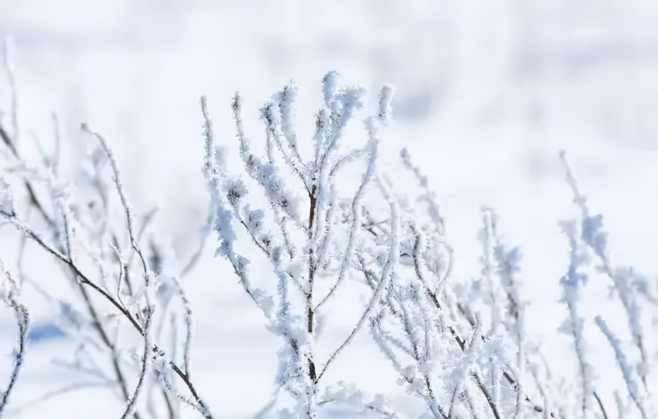 10首冬雪诗词，江天暮雪，落尽琼花，浪漫了整个冬天