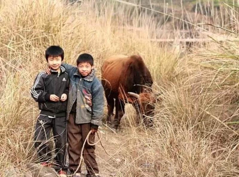 河南老人告诉同村男子：我儿是你孪生弟！10年后他们找到亲生父母