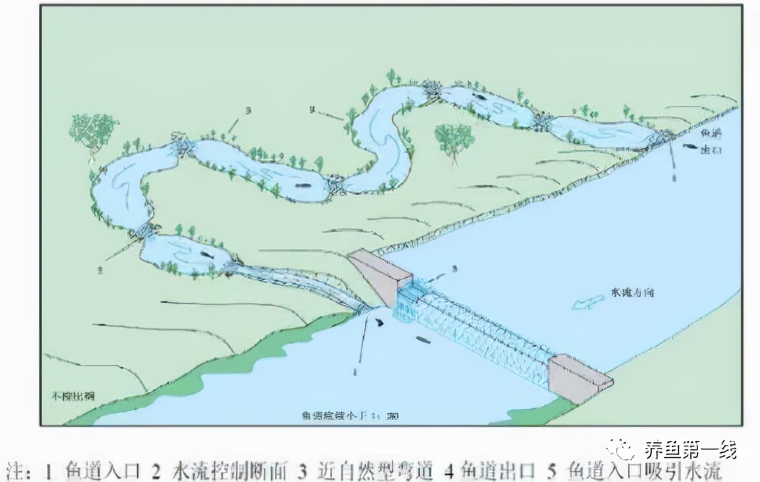 江河筑坝过鱼设施——鱼道：低水头水利枢纽过鱼通道构建技术