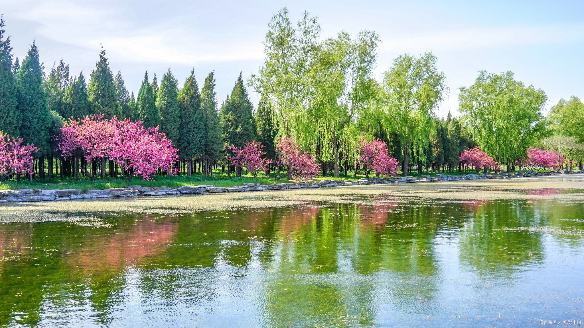 形容春天出游的句子(当唐诗宋词遇上春日美景) - 火句子