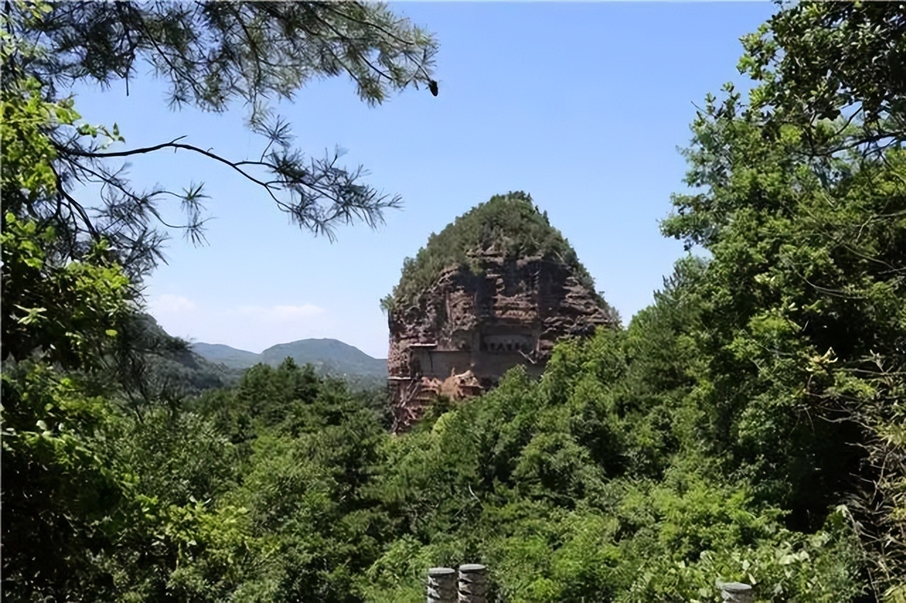 因麦积山而来 留植物园忘返！麦积山植物园带你体验丛林探险的乐趣