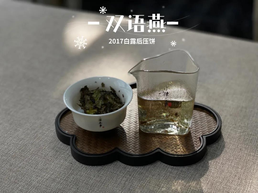 年底了，买老白茶要牢记“3个要点”，不交学费，春节在家喝好茶