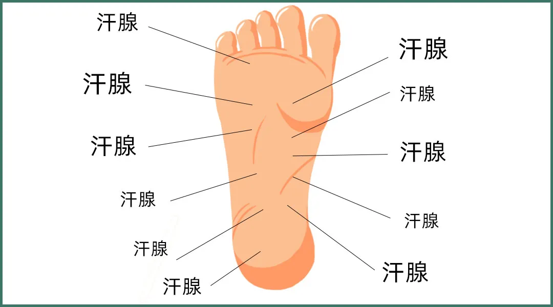 女性脚臭是男性5倍?图片