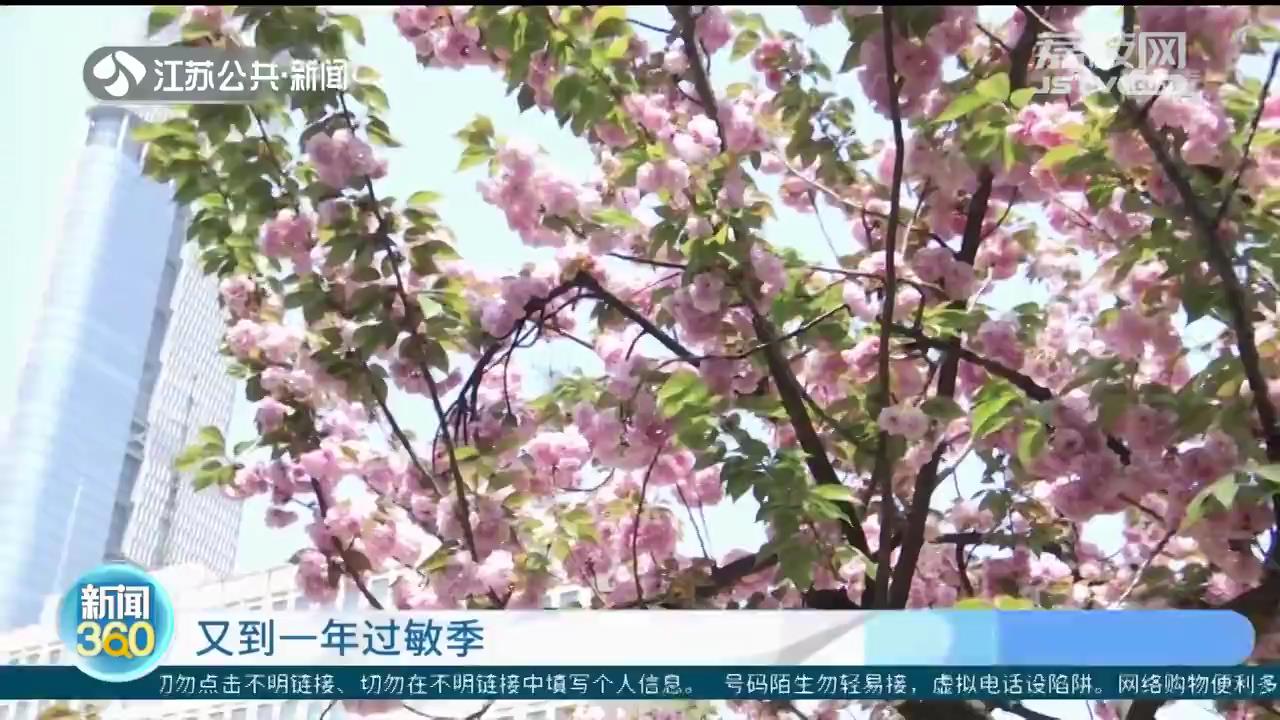 又到一年过敏季：花粉过敏 春树才是主要“元凶”