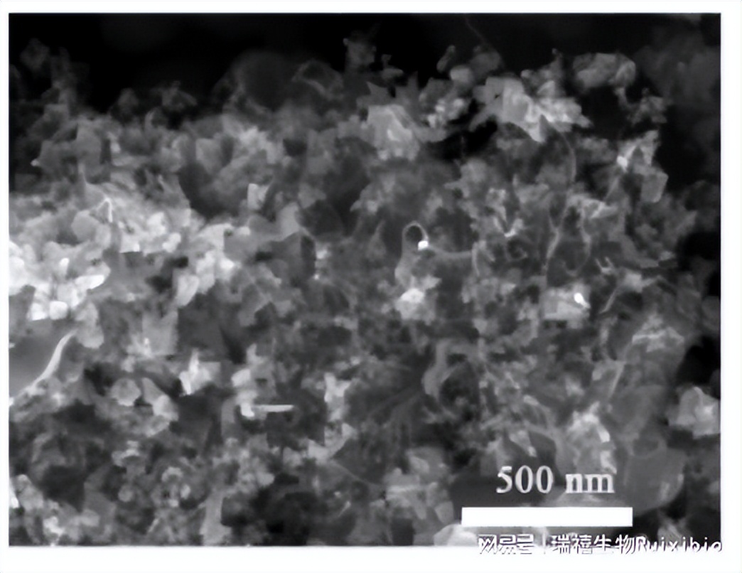 硒离子/铂离子/钯离子掺杂二硒化钨