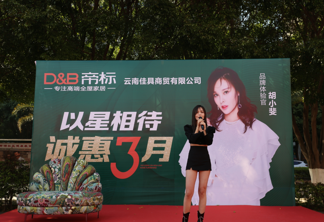 重庆云南双店齐发，帝标家居以星相待，全力打造最强终端