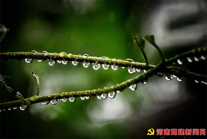 情谊重如山（全文）