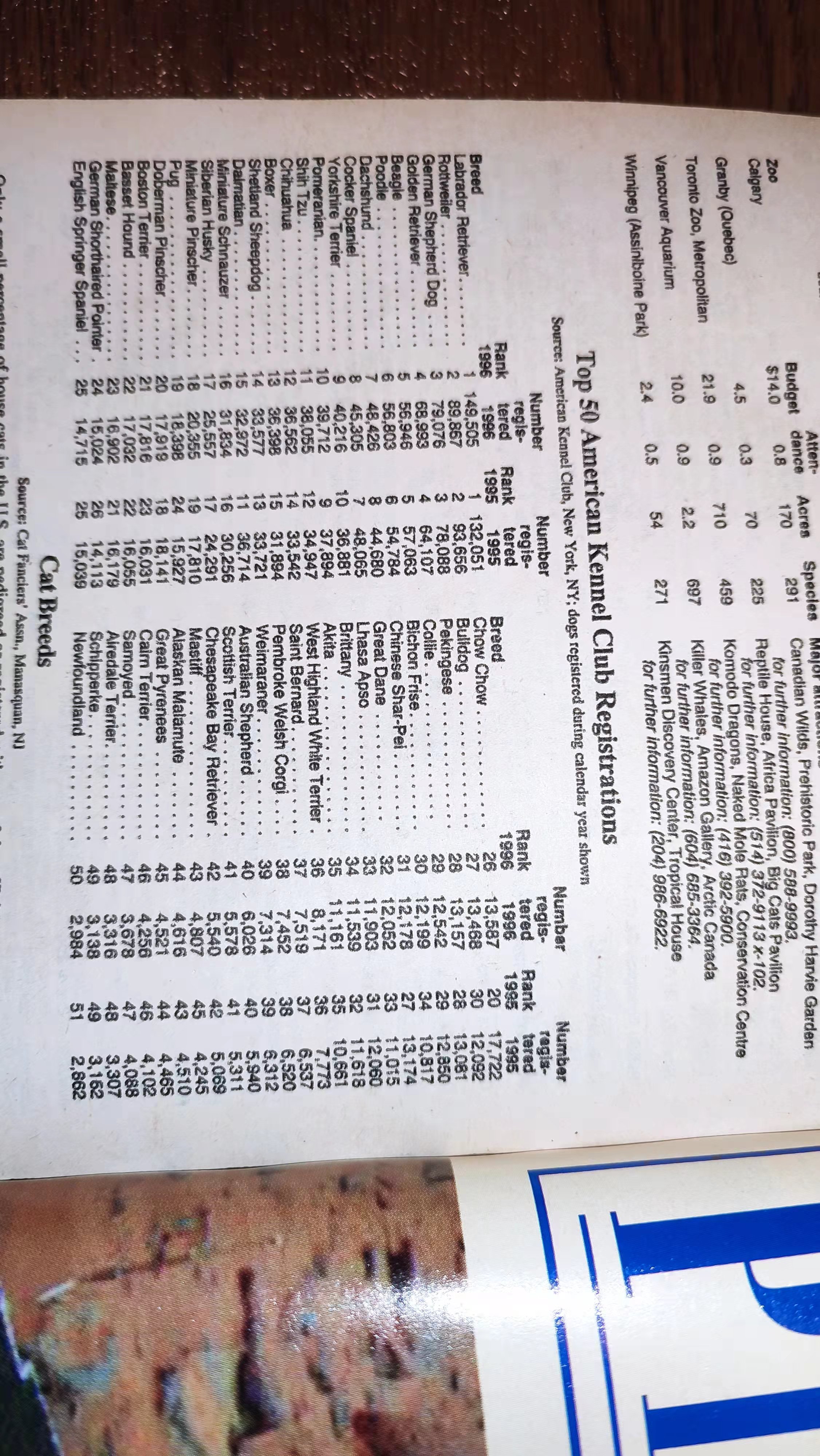 旧书记（三）:宠物狗（Top50 American Kennel Club Registrations)