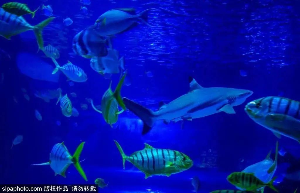 天津有什么好玩的地方（周末去哪 - 早春漫游津沽，去這些景點邂逅不一樣的天津）