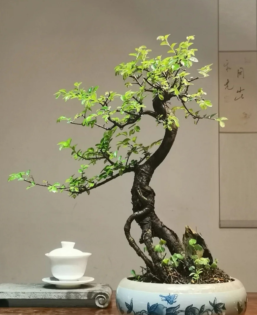 女人经常“骂你”这3句话，其实是对你表白，别傻傻不知道