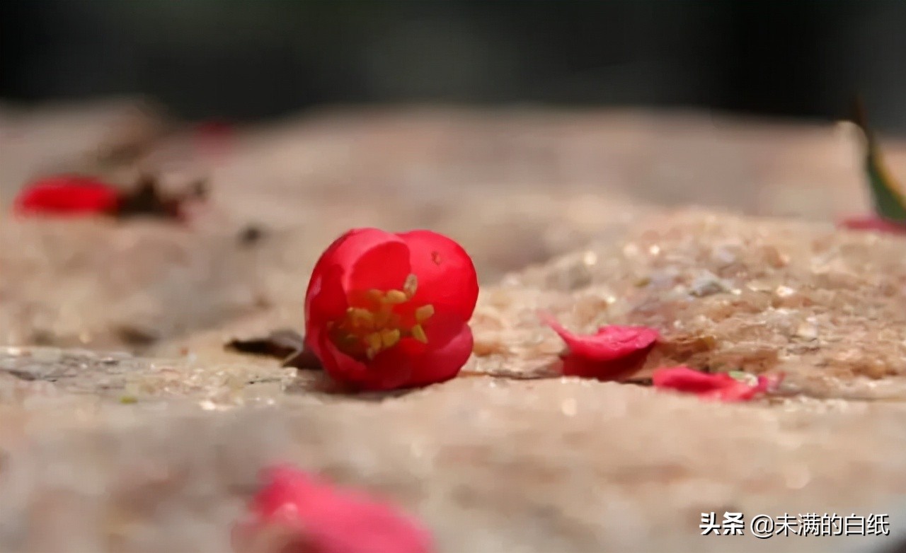 适合发朋友圈的优质句子，优质