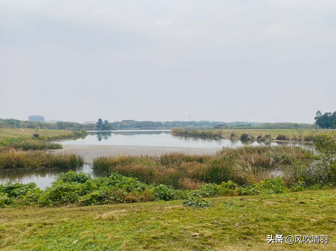 成都排名前5的公园，最小也有1800亩，西边和北边没上榜一个