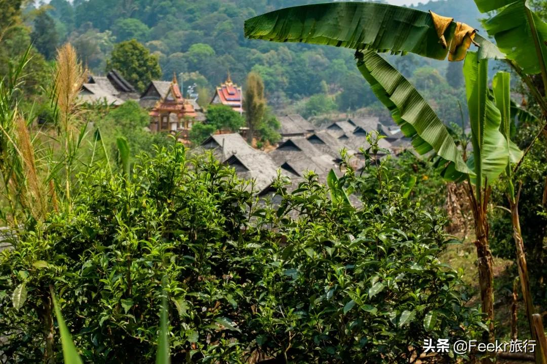 12星座旅行攻略,最适合你的2022年小众目的地在哪里?