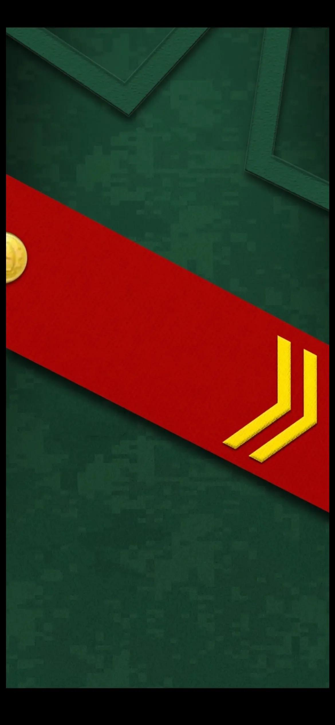 要高清的谢谢大家(手机壁纸|人民武警军衔等级肩章系列全套手机壁纸)