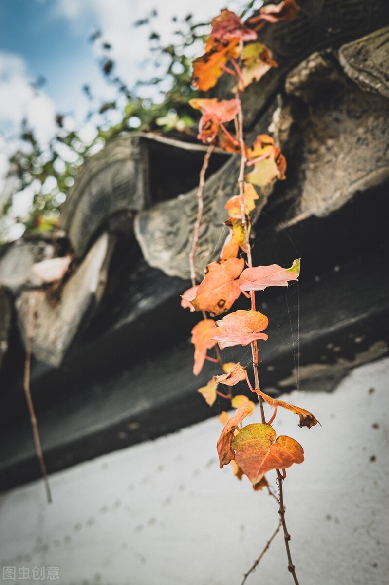 50张唯美禅意风景图片.高清淡雅意境壁纸,让人心静的自然美图