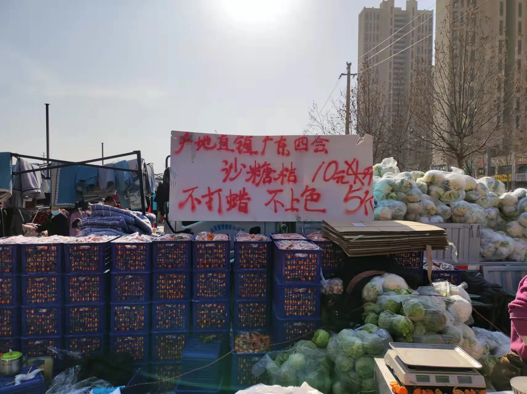 曾经有多风光,现在就有多落寞,砂糖橘真的“穷途末路”了吗?
