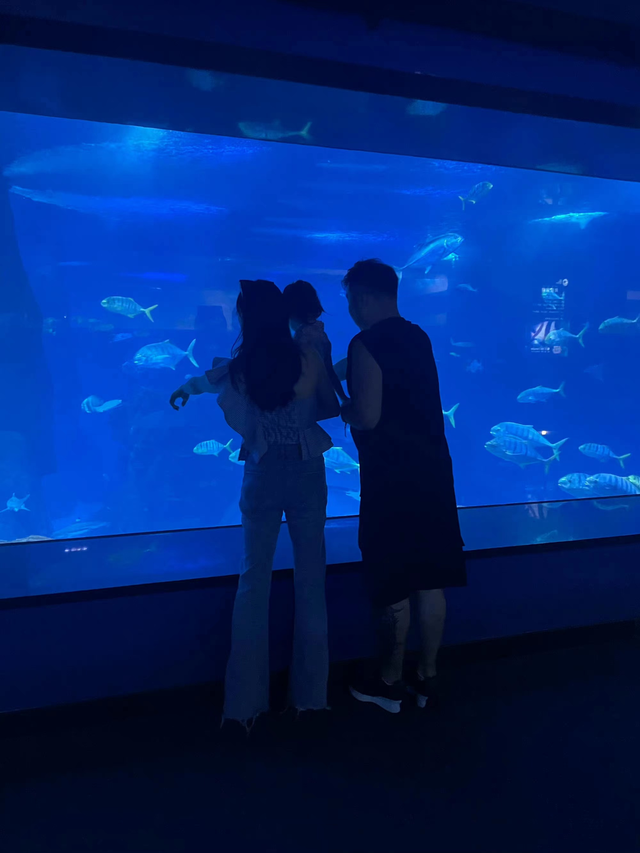 何雯娜奉子嫁二婚老公，婆婆态度冷漠，33岁转变身份做女强人