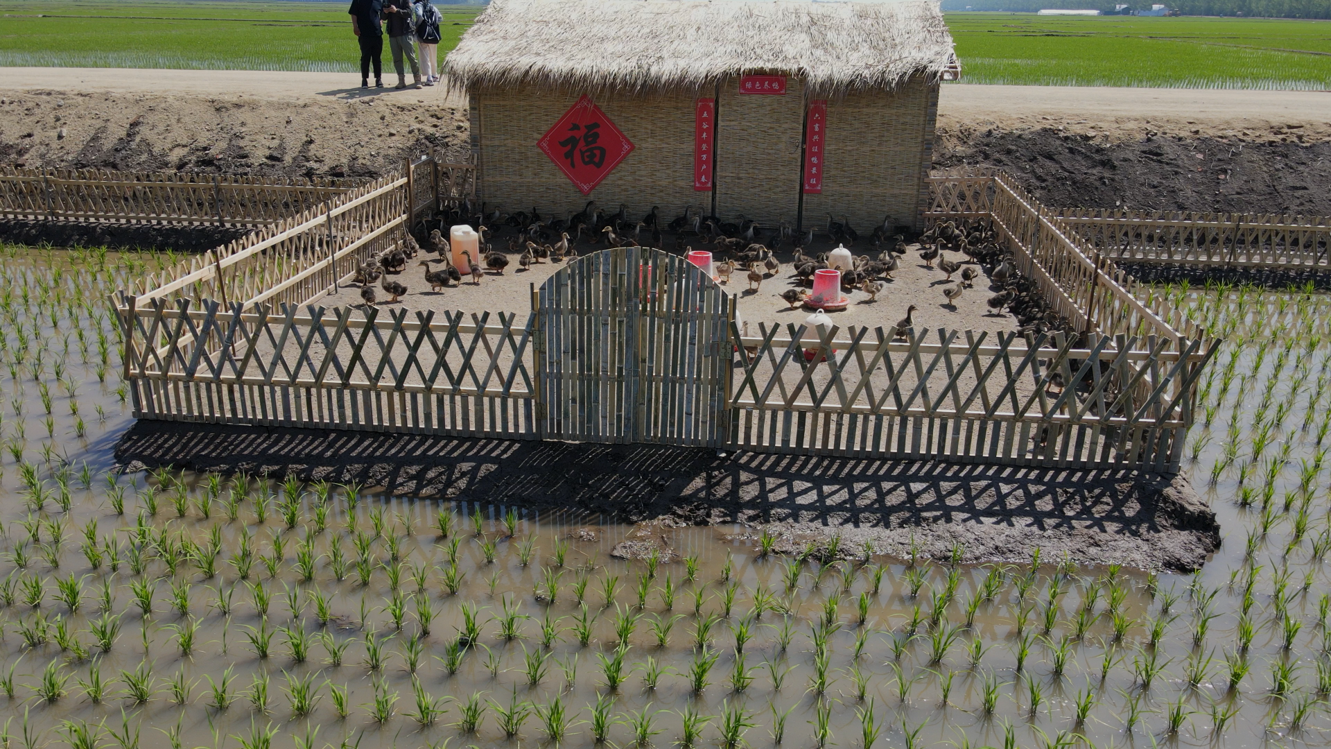 迎来新居民｜慢道“我有三分地”农场第一批居民已到位