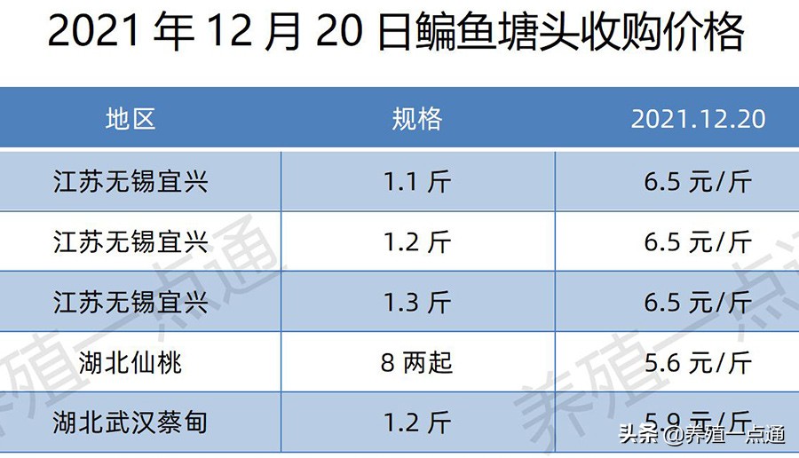 2021年12月20日，罗非、花鲢、鳊鱼、鮰鱼、鲫鱼、黑鱼、鲤塘口价