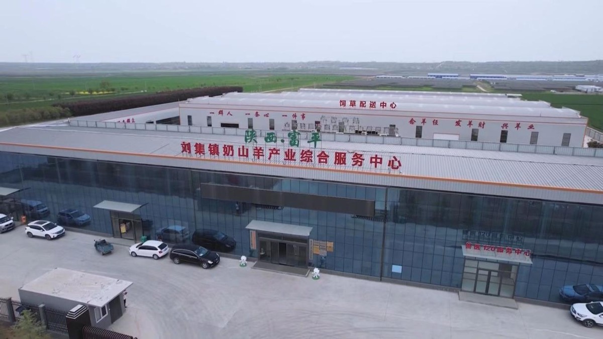 陕西富平刘集镇人才点燃奶山羊产业发展引擎