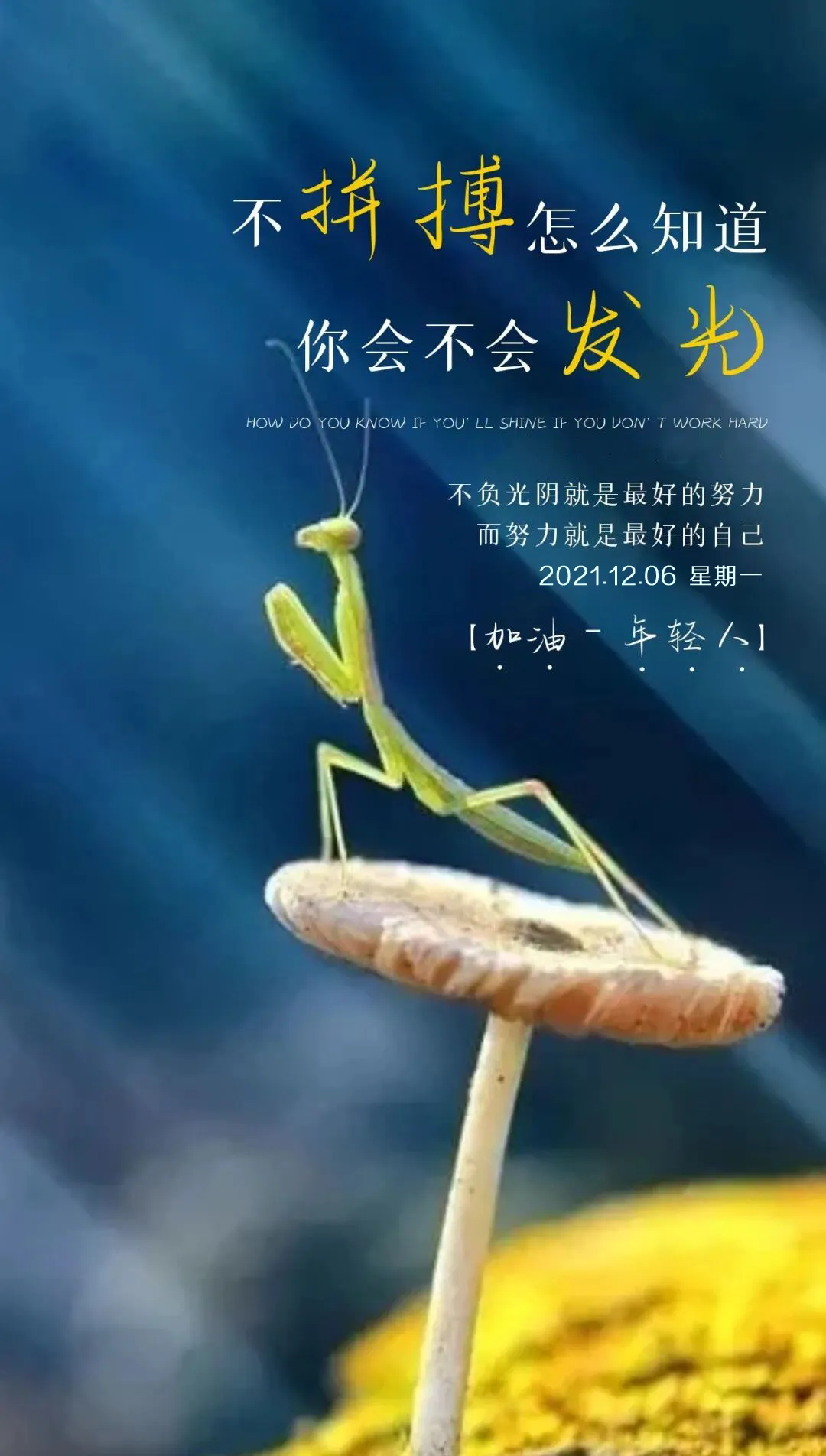 「2021.12.06」早安心语,正能量语录句子,美好的一天早上好图片