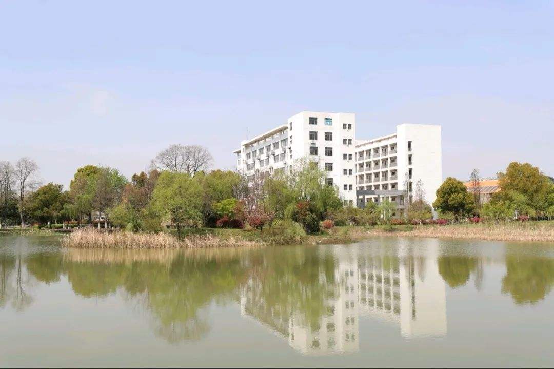 安徽理工、淮北师大、阜阳师大、安徽财经：同在皖北，都怎么样？