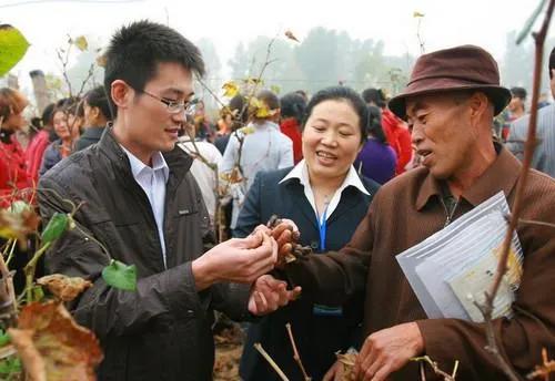 村书记和村主任谁权力更大？有传言要取消村干部，是真的吗？