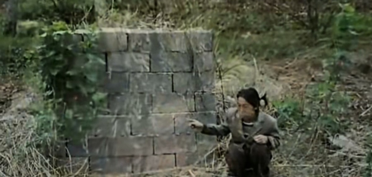 2009年，云南男子向表妹提亲遭拒，一气之下将其奸杀，还摔死其弟