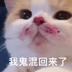 又到了QS百强院校角逐的时候了，看今年英国百强院校有哪些？