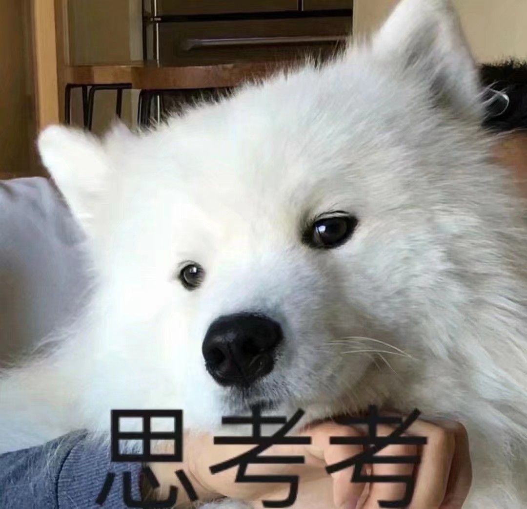 汪汪表情|春天就要元气狗狗,萌犬表情包来噜