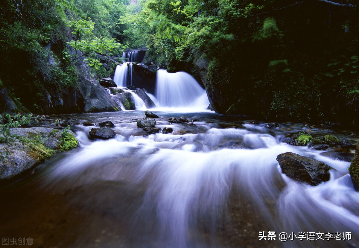 四季风景画卷：春花烂漫、夏绿成荫、秋叶斑斓、冬雪皑皑
