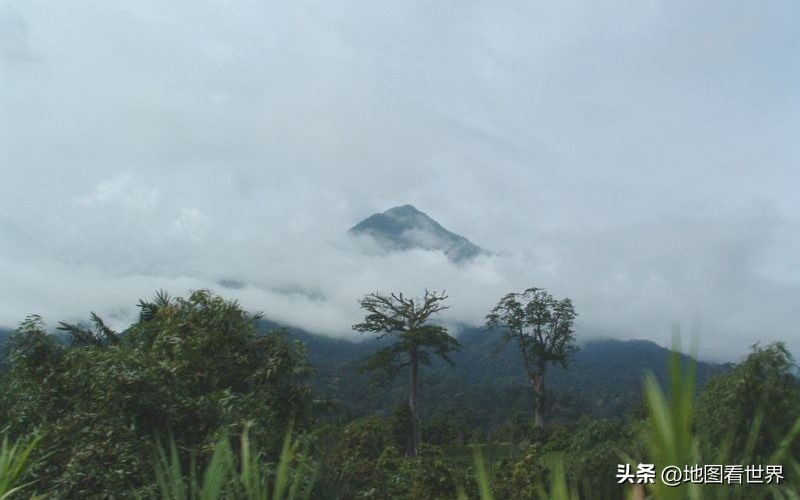 (bai)ȵͼĸҵ(de)ٶȵͼĸҵĲȨ-(di)11ͼƬ-ʳƷе(wang)