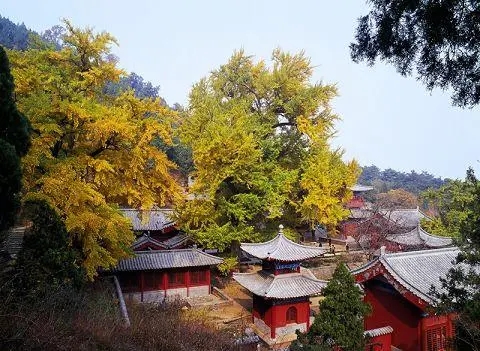 山东十大冷门景点，景美人少好玩