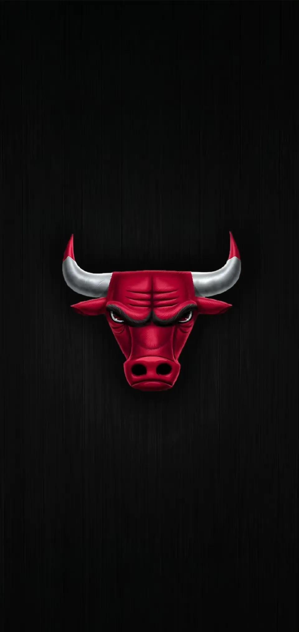 是一只有爪印的篮球标志,个人还是比较喜欢猛龙队的队标的,简约霸气