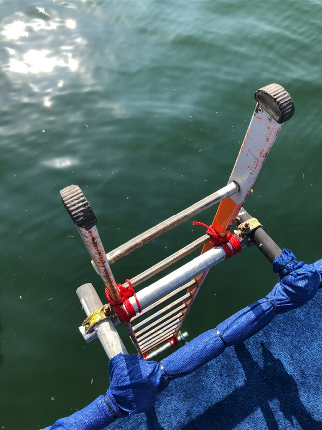 全红婵危机四伏！国际泳联确认，短池世锦赛7人确诊新冠