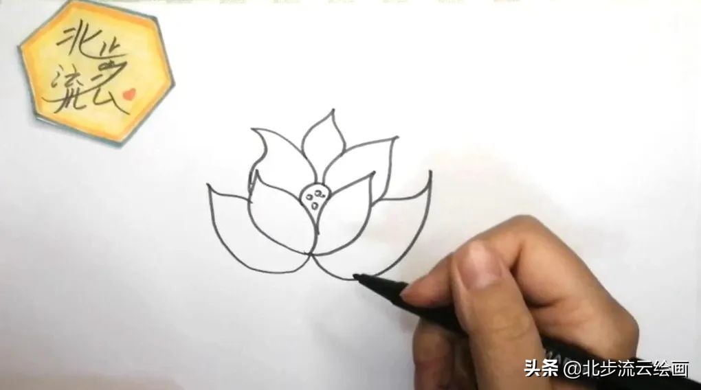 荷花画法步骤加图片简单易学的荷花简笔画