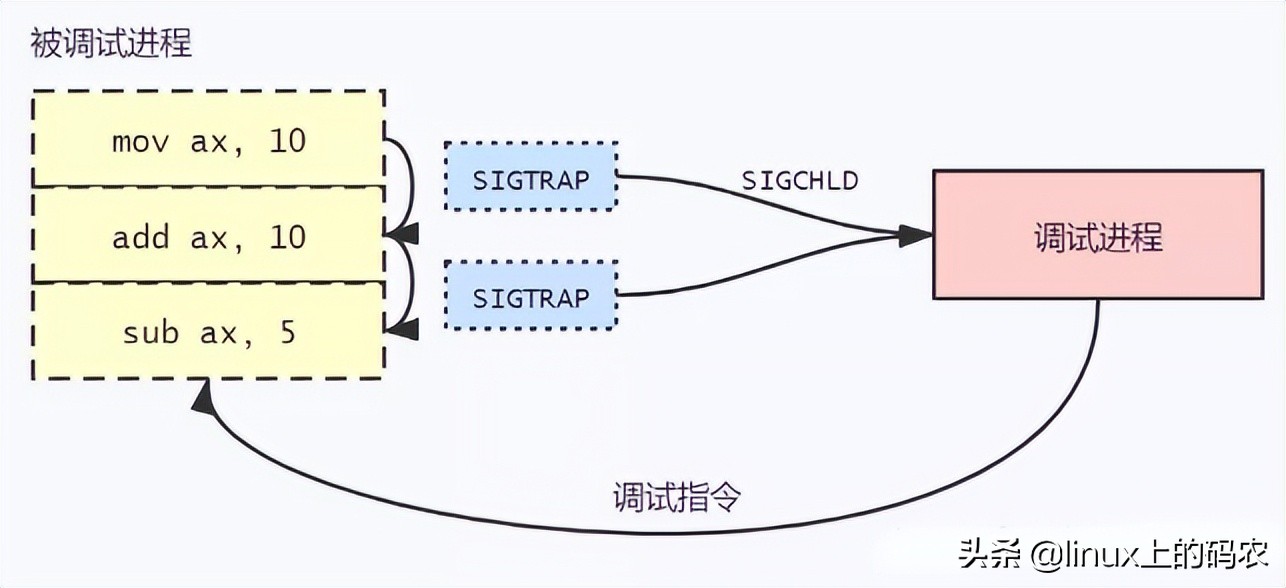 一篇掌握GDB调试程序的核心技术-ptrace系统调用与使用示例