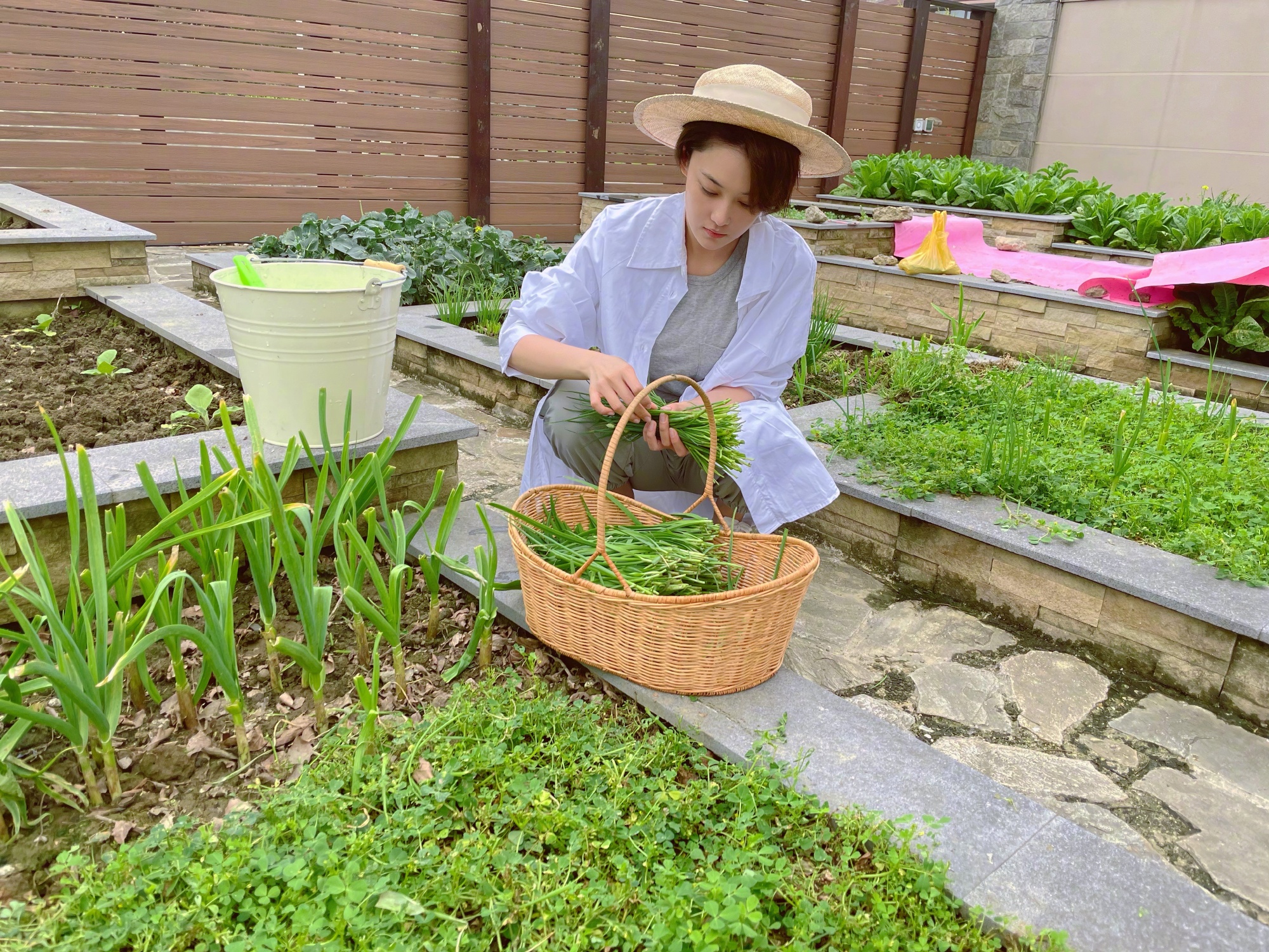 是女明星也是“菜农”！柳岩吃过刘亦菲种的茄子，张馨予家有农场