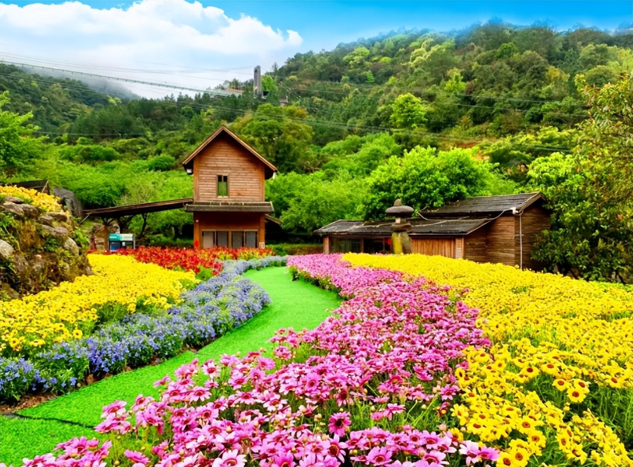 春暖花开相约天露山，游居于山间，邂逅最美的春景