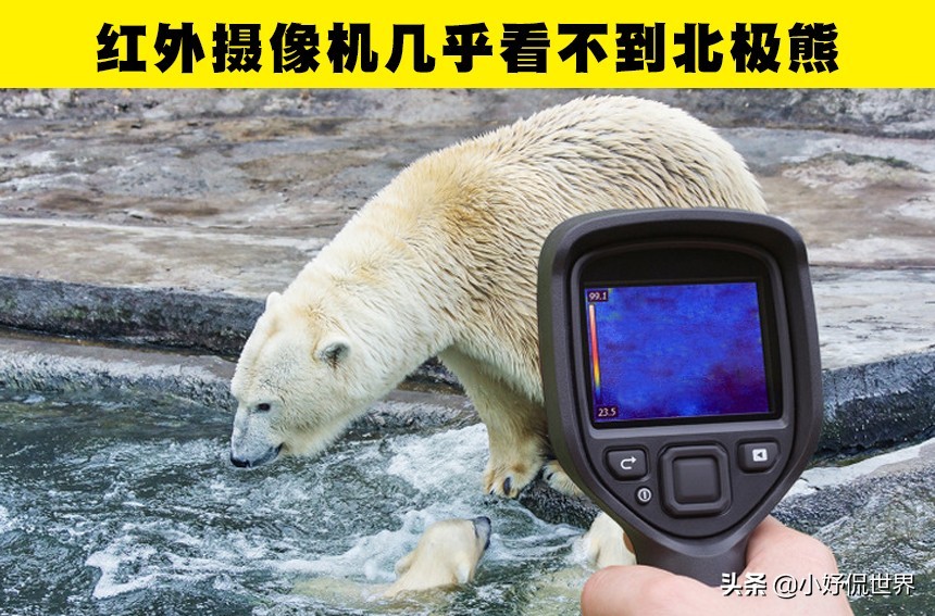 学校可能没有教过你，但非常真实和神秘的8个冷知识